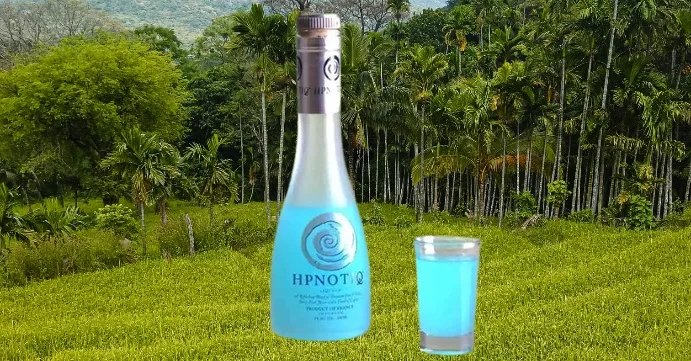 Hypnotic Drink